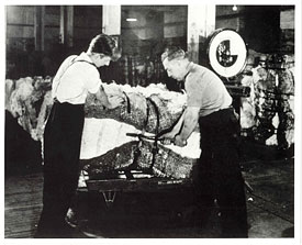 Deux ouvrier face à face ouvrant les balots de coton.