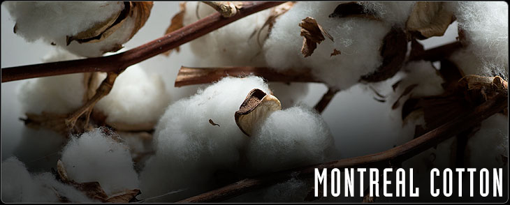 Montreal Cotton