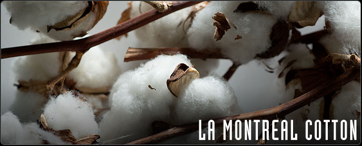 La Montreal Cotton